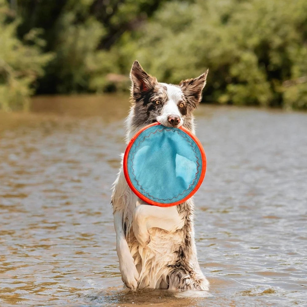 Paraflight Flying Disc Dog Toy - Water Floating Flyer - Durable Nylon Construction with Soft Rubber Edges